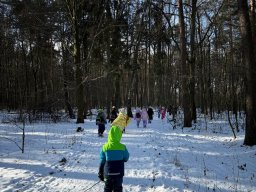 Udział klas 1b i 1c w PROJEKCIE DZIECI LASU 